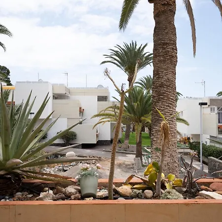 Lejlighed Alejandro Pool Terrace And Full Kitchen Arona (Tenerife)
